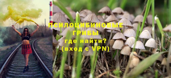 сатива Абинск
