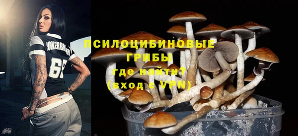 амф Россошь