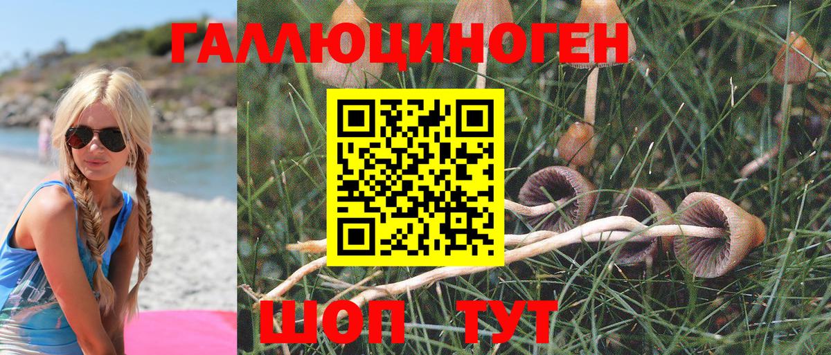 Галлюциногенные грибы MAGIC MUSHROOMS  Вход с VPN  Галлюциногенные грибы MAGIC MUSHROOMS  Искитим 